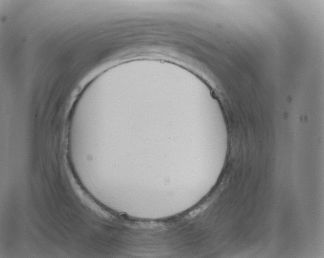 X0000080711526200701050957