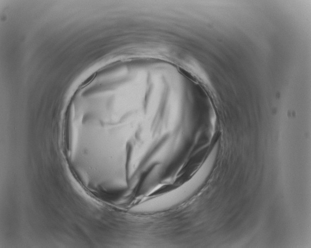 X0000080711528200701050957