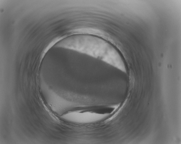 X0000080711529200701050957