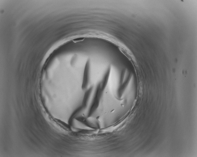 X0000080711530200701050957