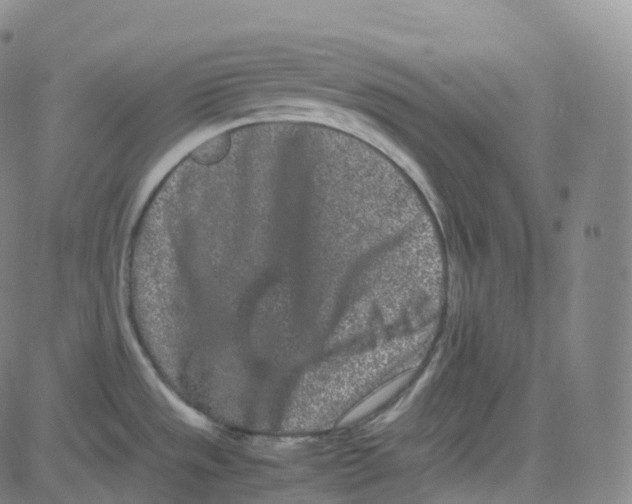 X0000080711533200701050957