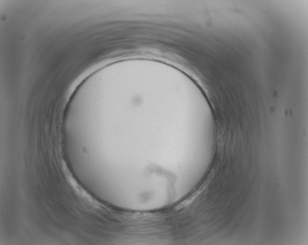 X0000080711534200701050957