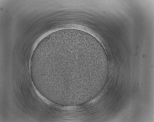 X0000080711535200701050957