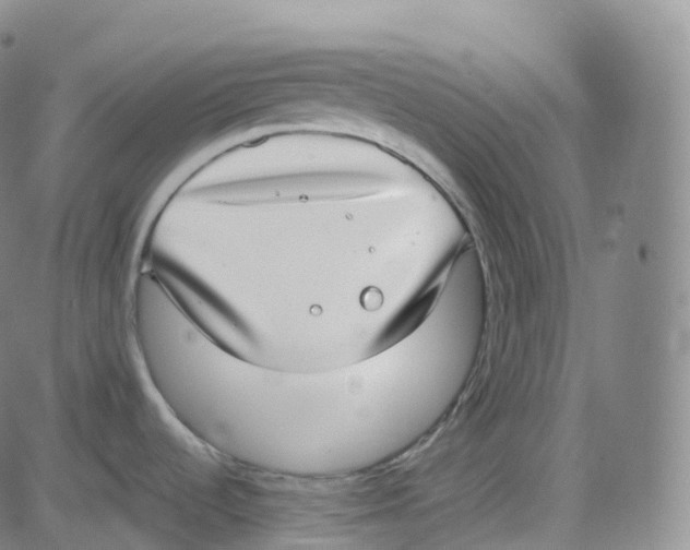 X0000080711536200701050957