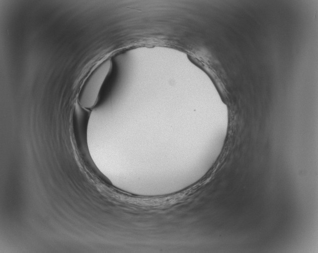 X0000080710001200701121830