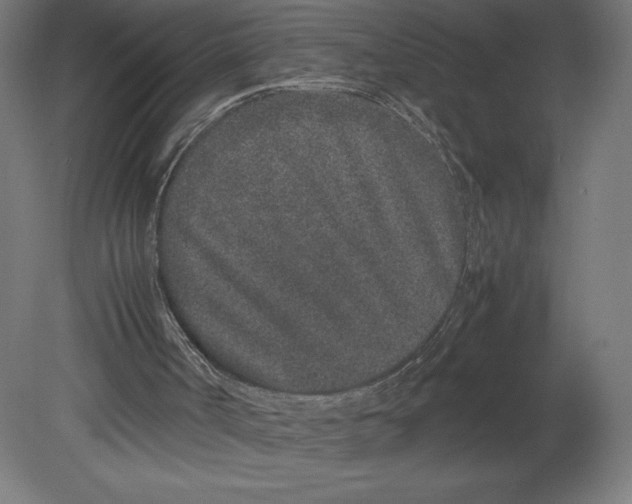 X0000080710002200701121829