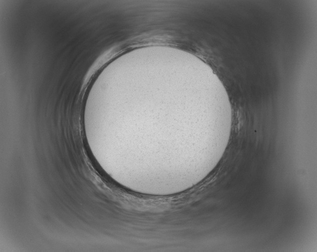 X0000080710004200701121829