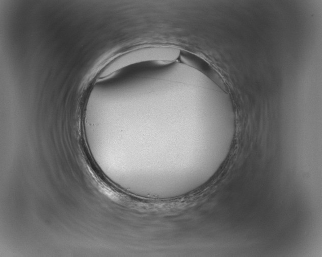 X0000080710005200701121829