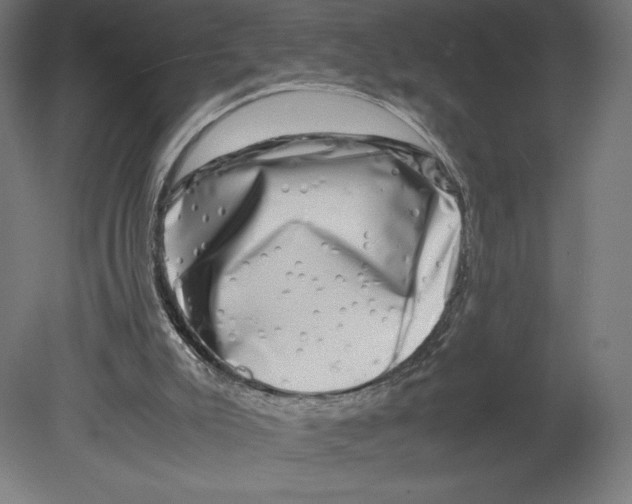 X0000080710007200701121829