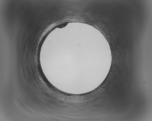 X0000080710008200701121829