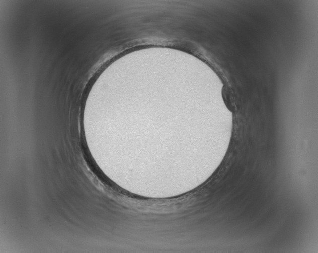 X0000080710011200701121829