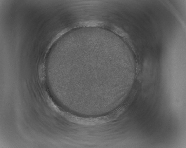 X0000080710012200701121829