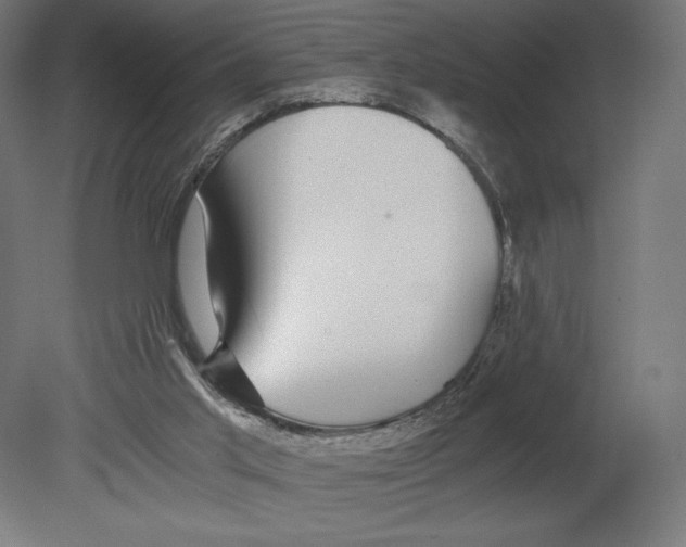 X0000080710013200701121829