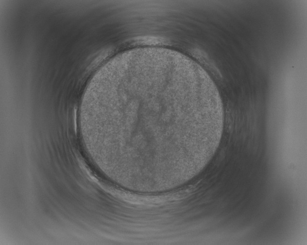 X0000080710014200701121829