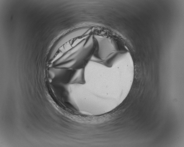 X0000080710015200701121829