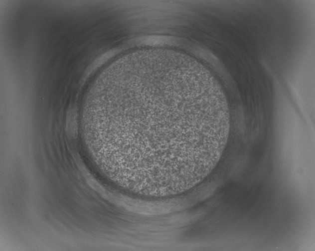 X0000080710016200701121829