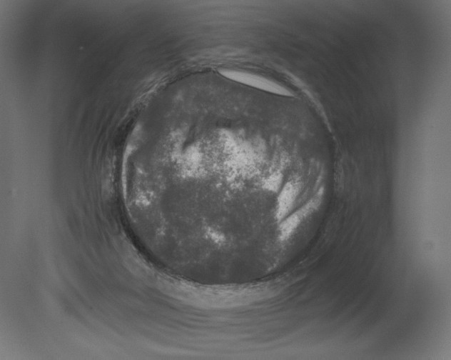 X0000080710018200701121829