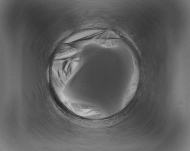 X0000080710019200701121829