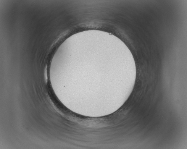 X0000080710020200701121829