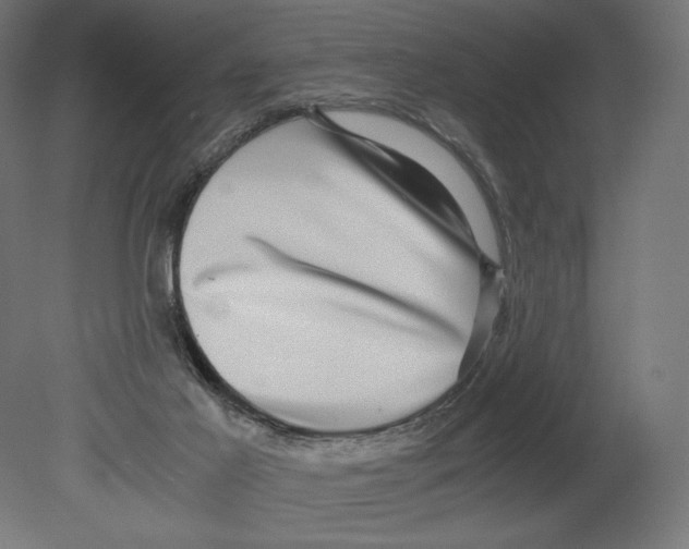 X0000080710021200701121829