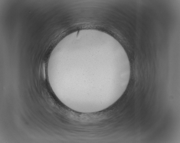 X0000080710022200701121829