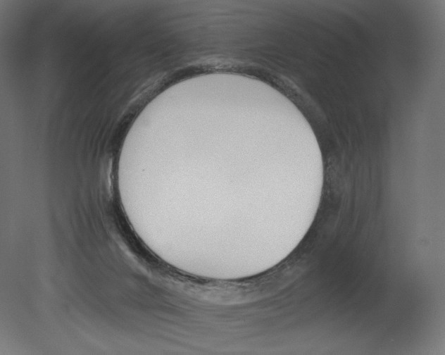 X0000080710024200701121829