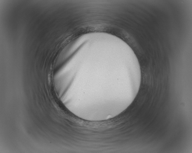 X0000080710026200701121829