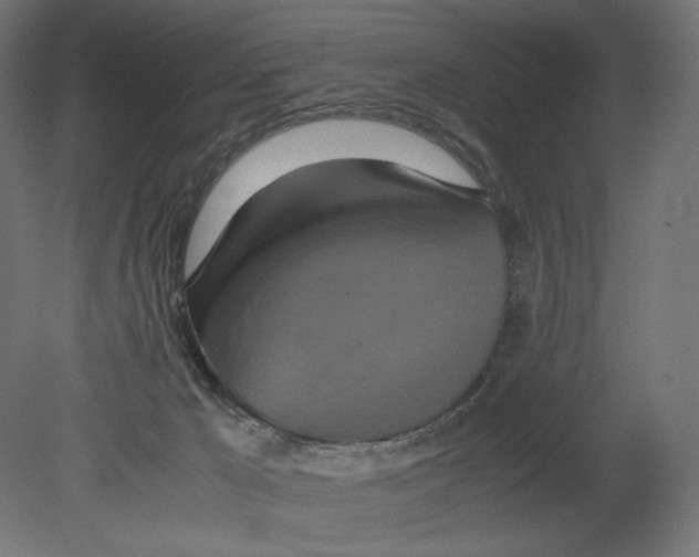 X0000080710029200701121829