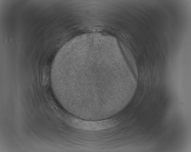 X0000080710030200701121829