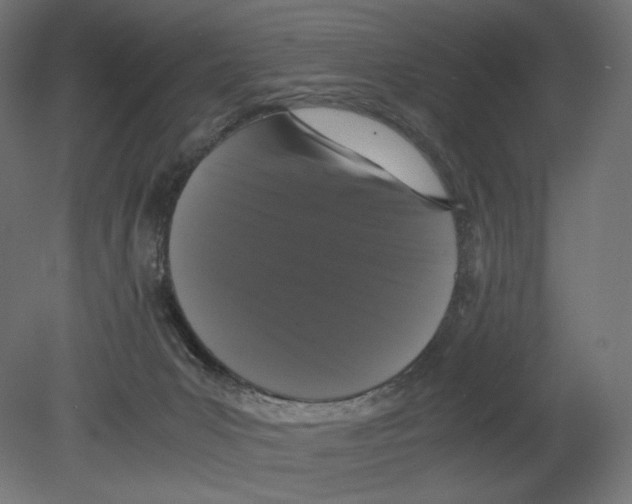 X0000080710031200701121829