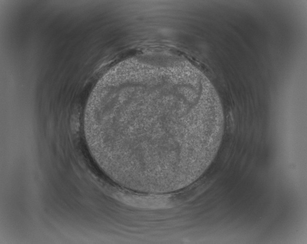 X0000080710032200701121829