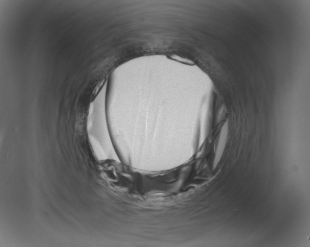 X0000080710033200701121829