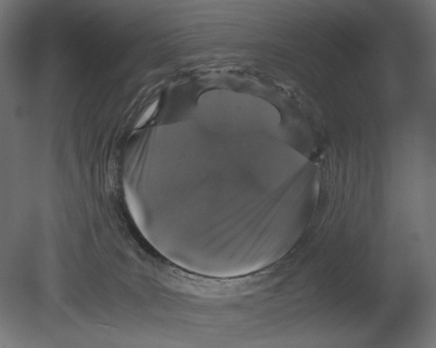 X0000080710035200701121829