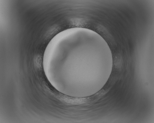 X0000080710036200701121829