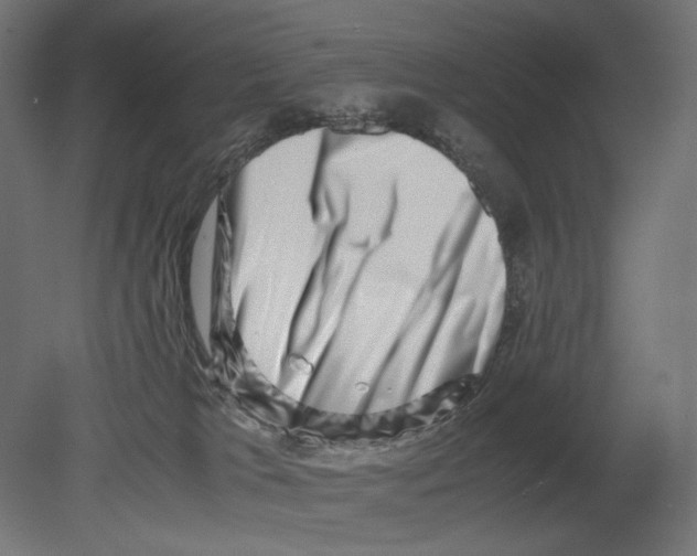 X0000080710037200701121829