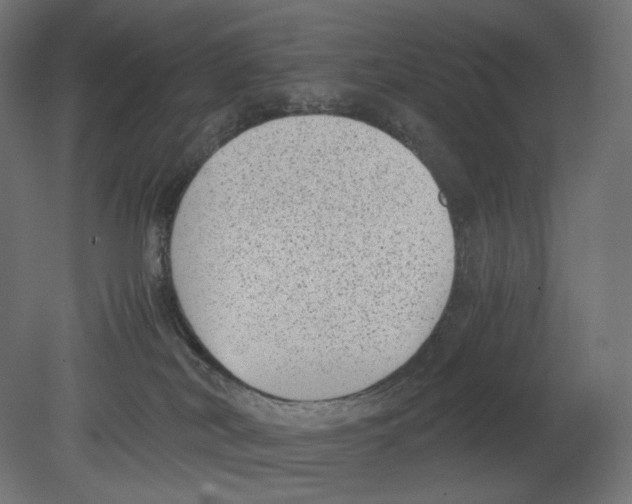 X0000080710038200701121829