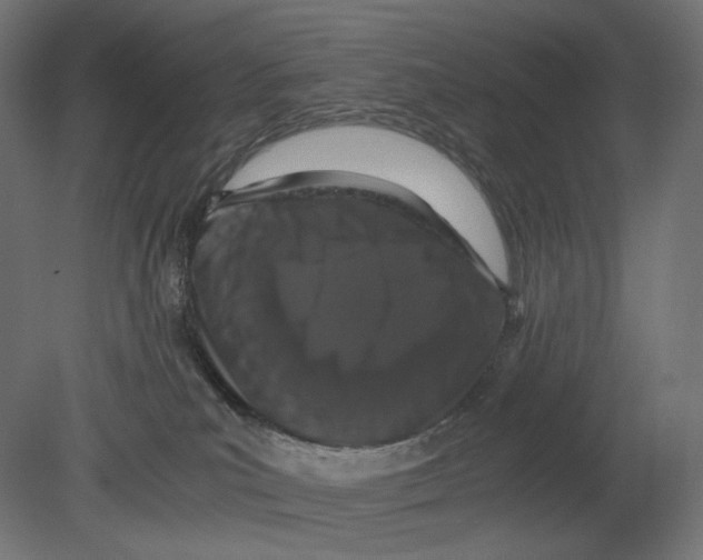 X0000080710039200701121829