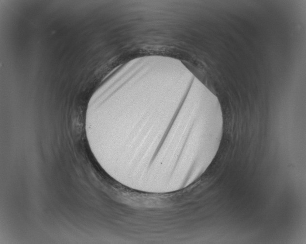 X0000080710040200701121829