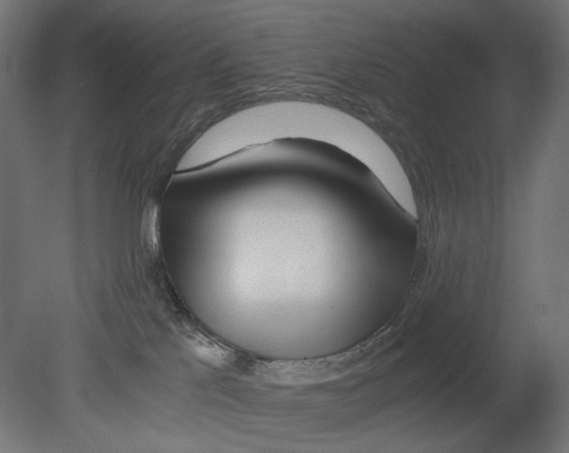 X0000080710041200701121829