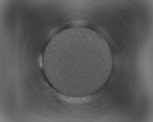 X0000080710042200701121829