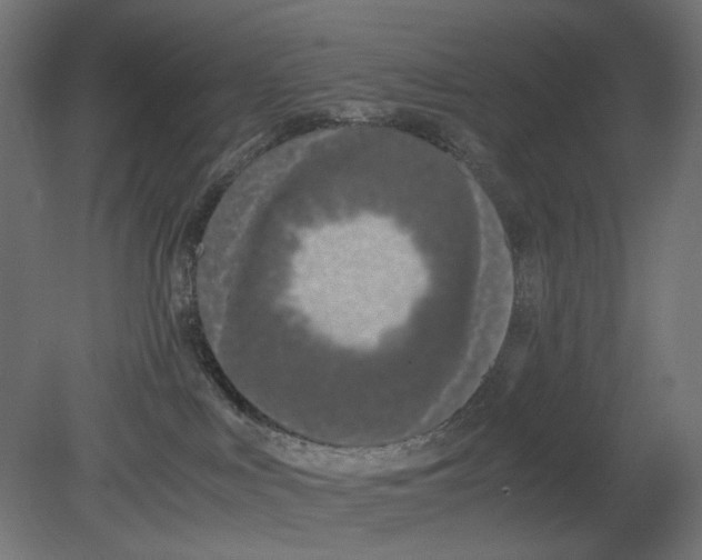 X0000080710043200701121829