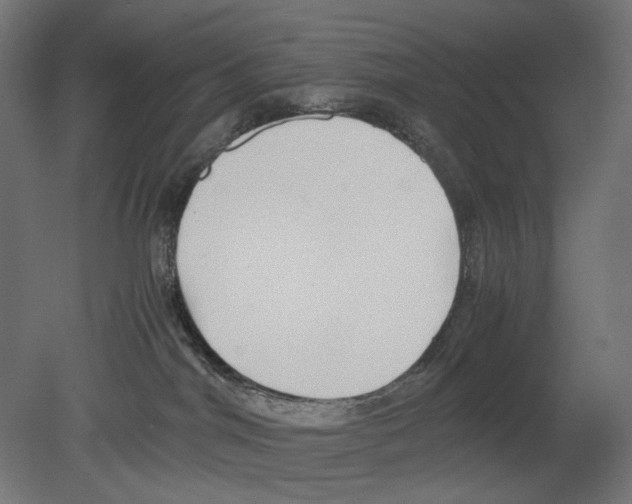 X0000080710044200701121829