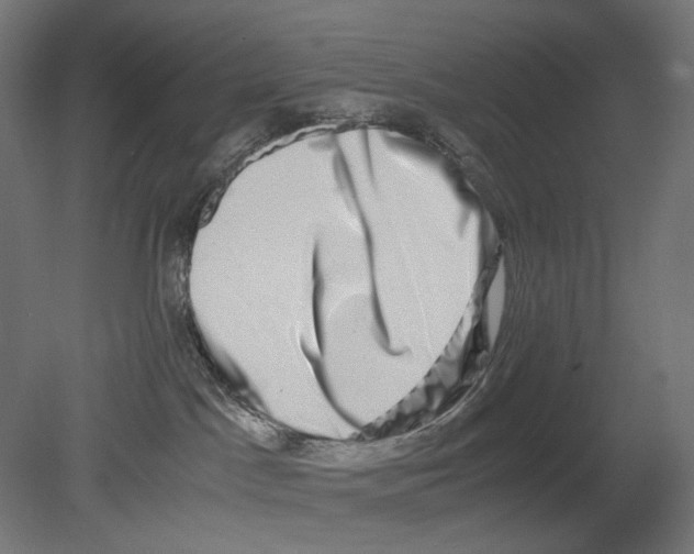 X0000080710045200701121829