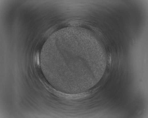 X0000080710046200701121829