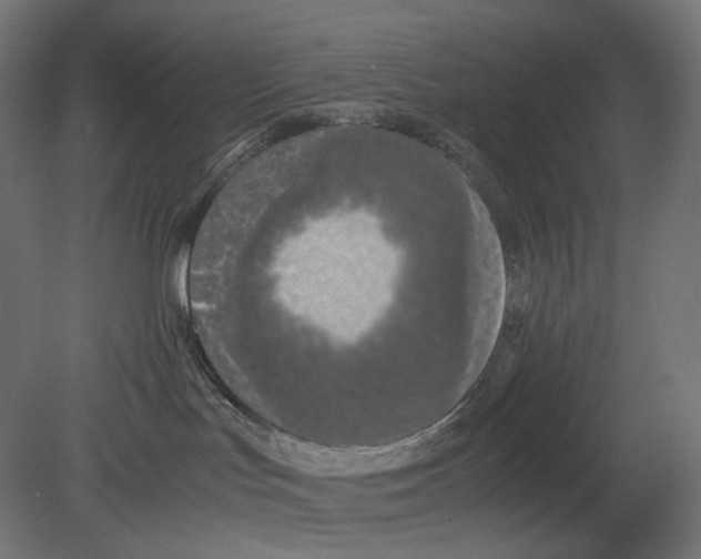 X0000080710047200701121829