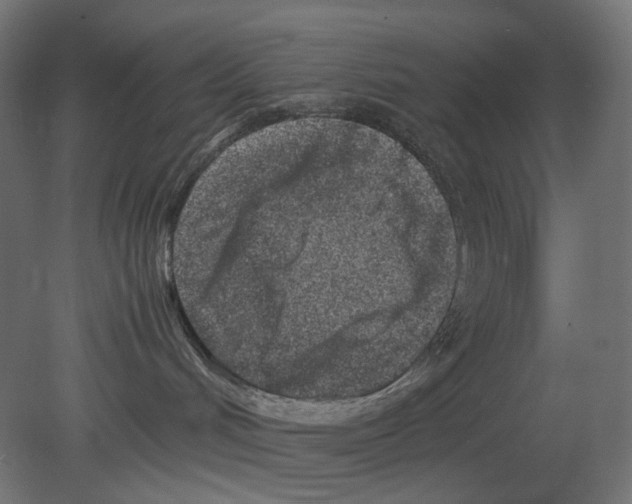 X0000080710048200701121829