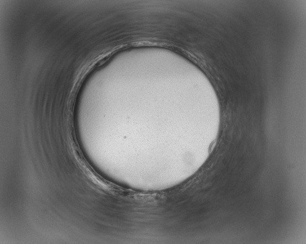 X0000080710049200701121828