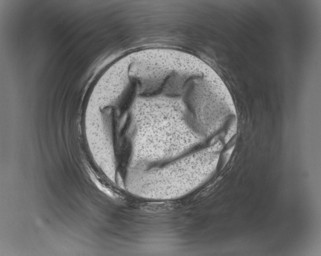 X0000080710050200701121828