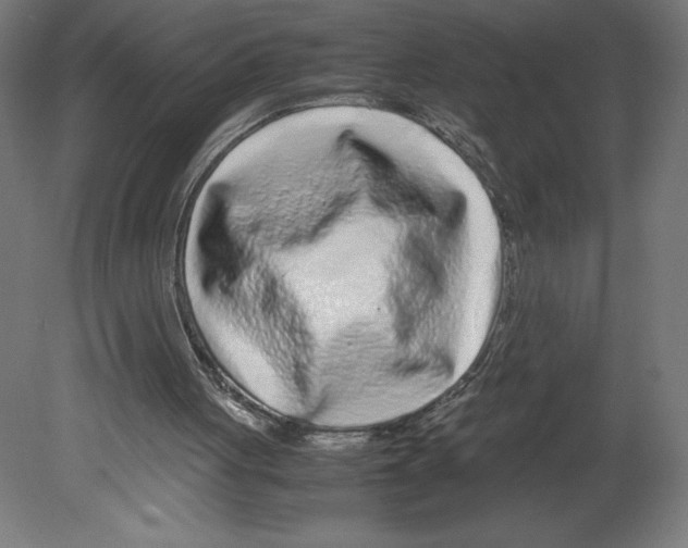 X0000080710051200701121828