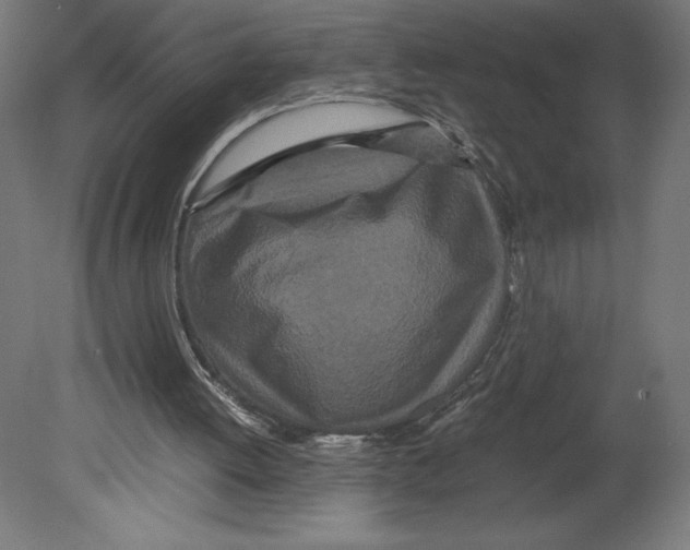 X0000080710052200701121828